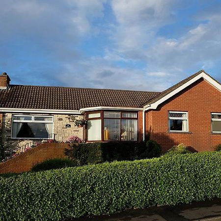 Number Nine Accommodation Downpatrick Esterno foto